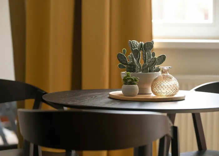 Apartment Bright Near The Zoo And Mtp By Renters