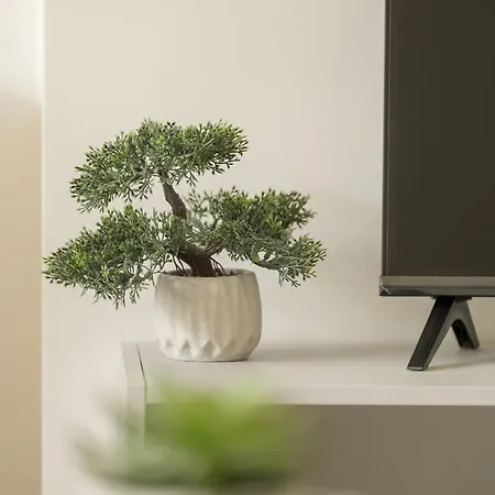 Bright Near The Zoo And Mtp By Renters *